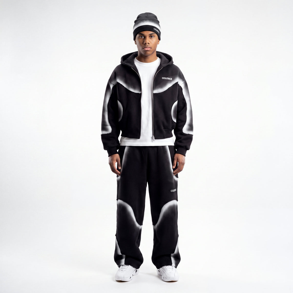L’Ensemble Colesice Vayro Paris
