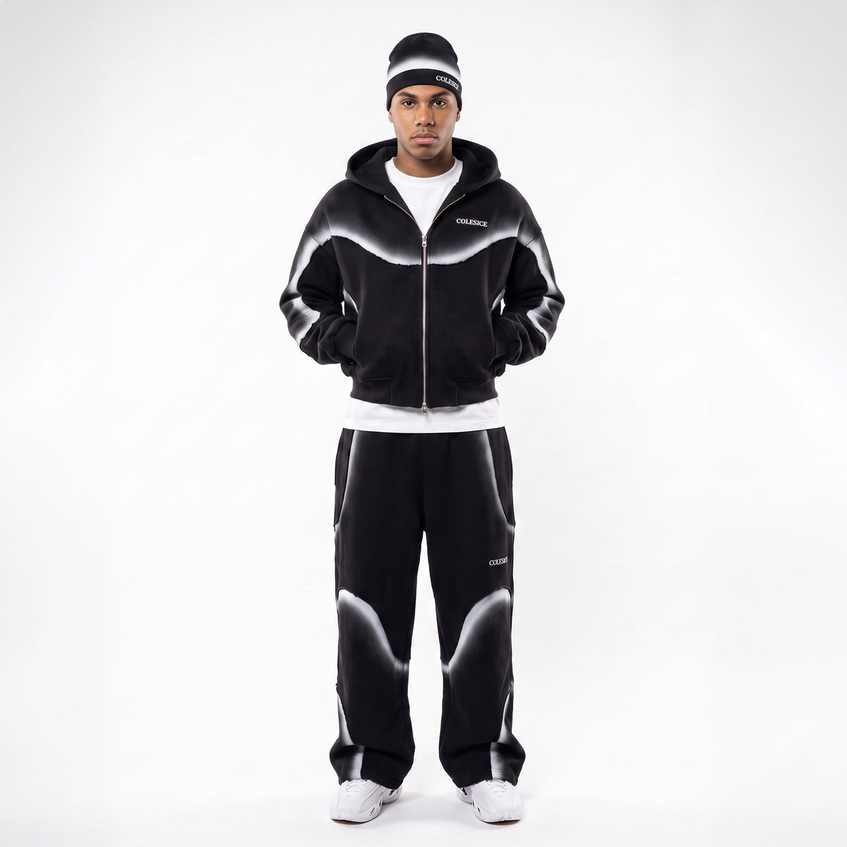 L’Ensemble Colesice Vayro Paris